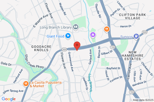 Hollywood Hair Fashion II