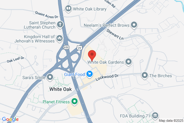 Dr. Flora Feldman & Assoc. Silver Spring