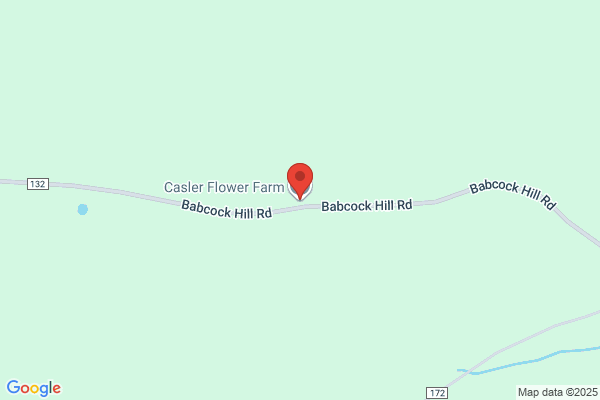 Castile Florist & Greenhouses