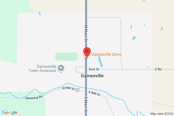 Gainesville Store the