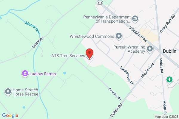 Regent Tree Service