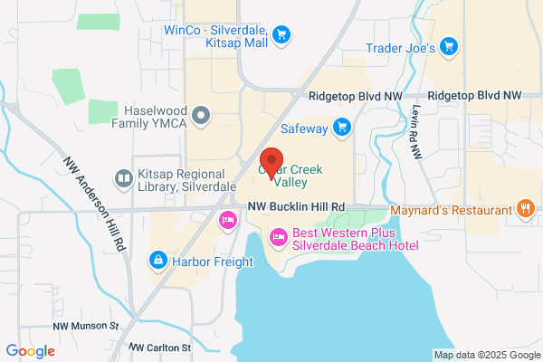 Puget Sound Therapy Services