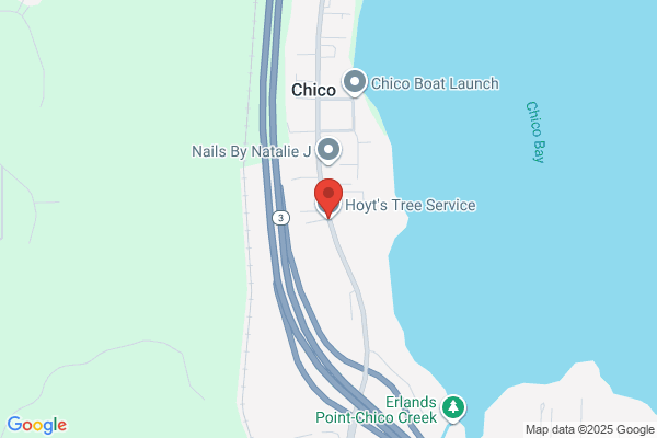 Chico