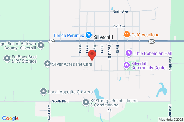 Silverhill School