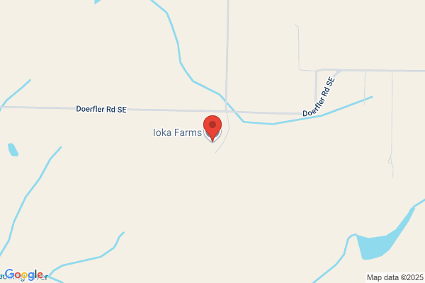Ioka Farms Elevator