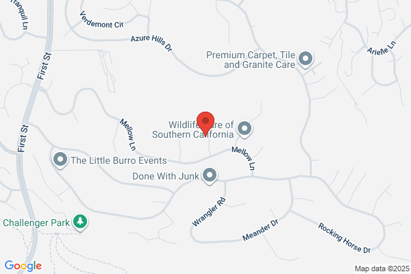 Body by Design