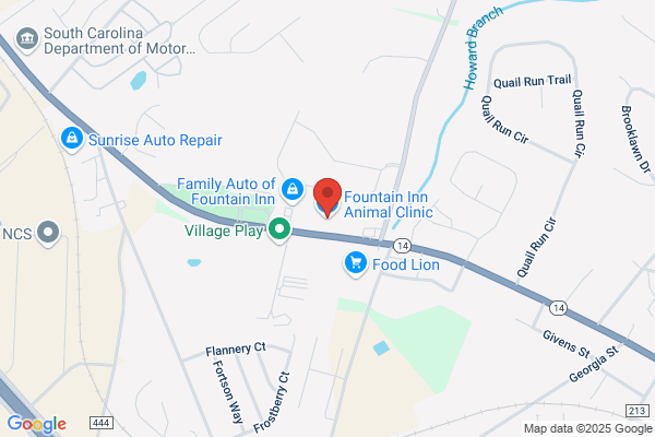Fountain Inn Animal Clinic