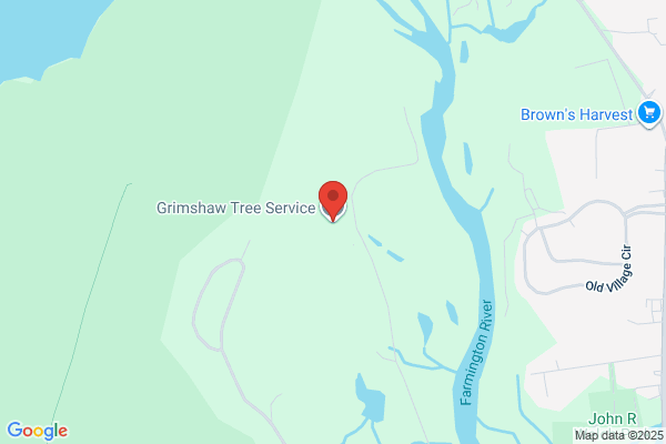 Grimshaw Tree Service