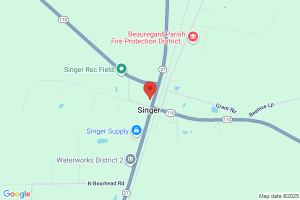 Singer Water Works