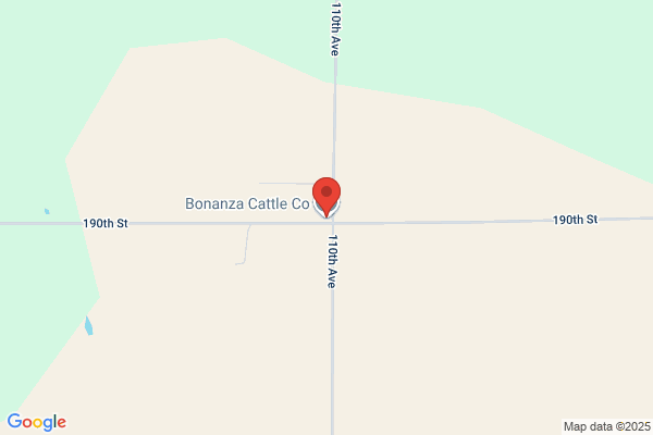 Bonanza Cattle Company Inc