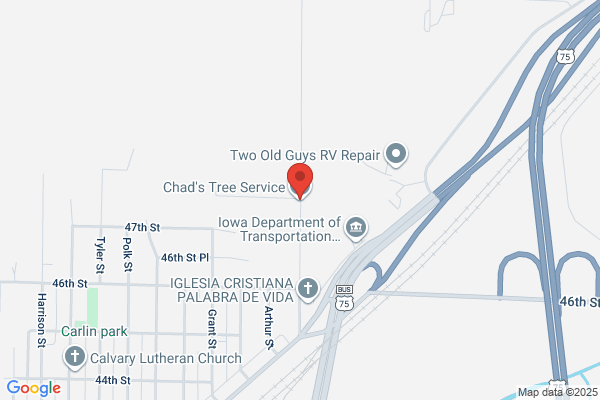 Chad's Tree Service