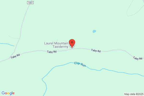 Laurel Highlands Taxidermy