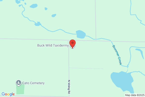 Bountiful Creek Taxidermy