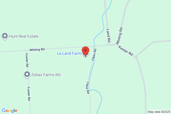 Locust Lawn Farm