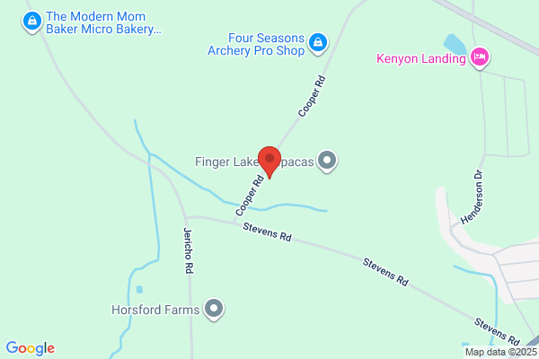 Purr-Fect Place Animal Hospital