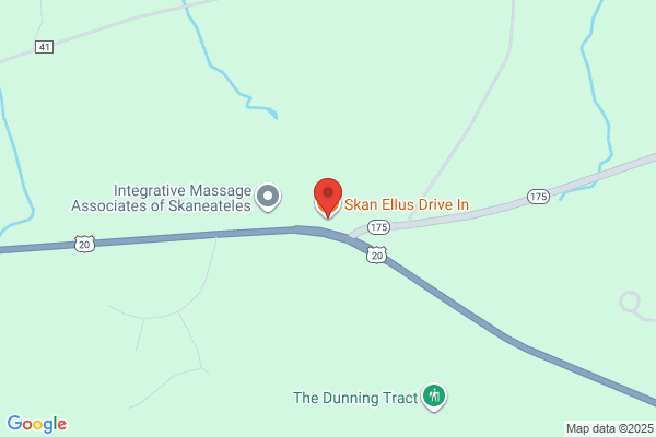 Skanellus Drive In