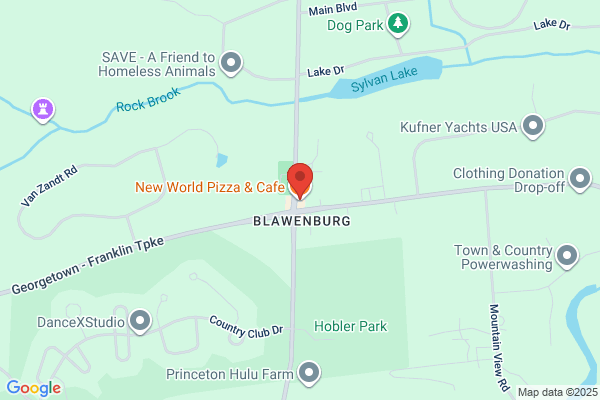 New World Pizza & Cafe
