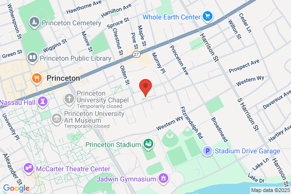 Princeton Nanotechnology