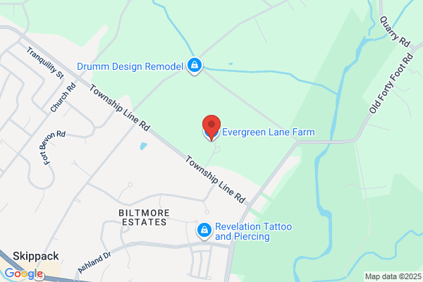 Evergreen Lane Landscaping & Border Magic