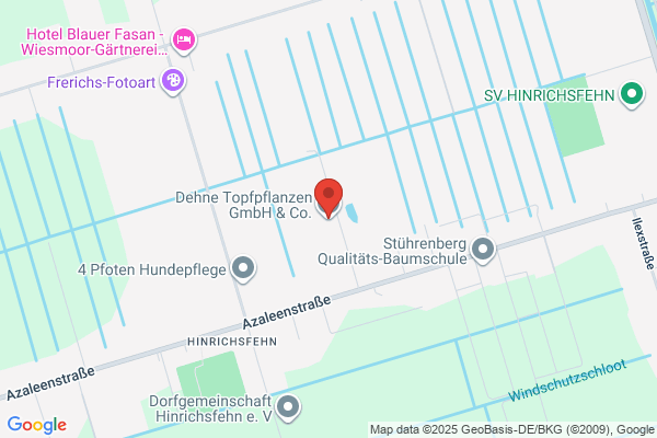 Dehne Roofing