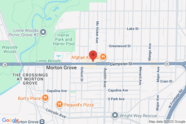 Willow Tree House