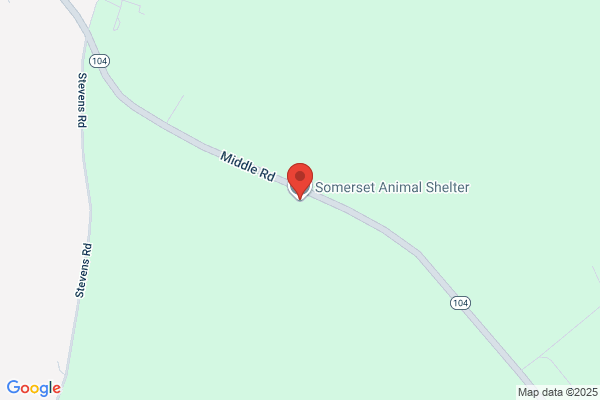 Somerset Animal Shelter