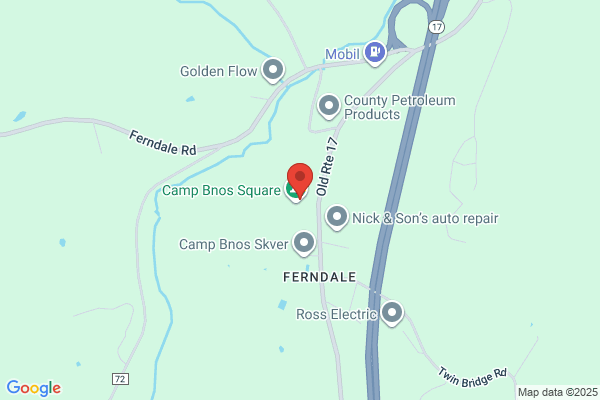 Camp Shane