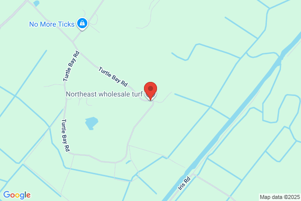 Northeast Wholesale Turf