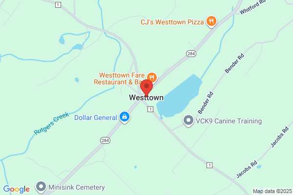 Westtown Video