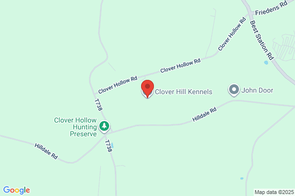 Longview Kennels