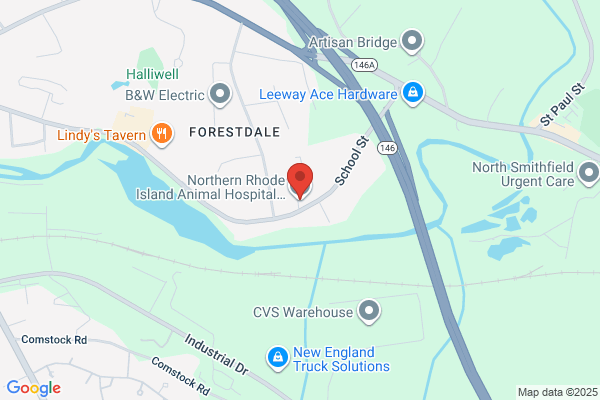 Northern Rhode Island Animal Hospital, A Thrive Pet Healthcare Partner
