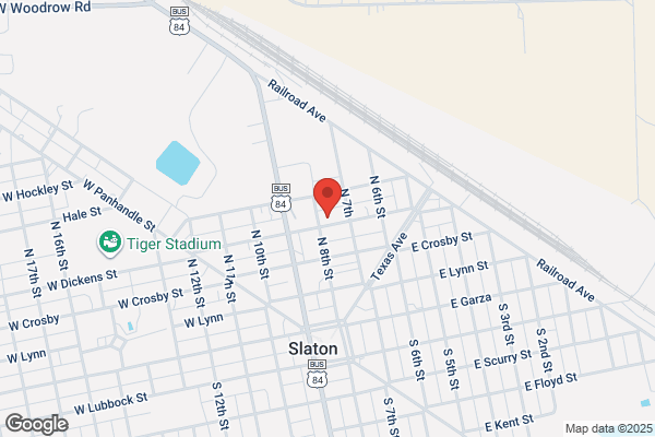 Slaton City of, Animal Control
