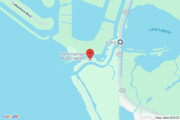 Pontchartrain Blue Crab