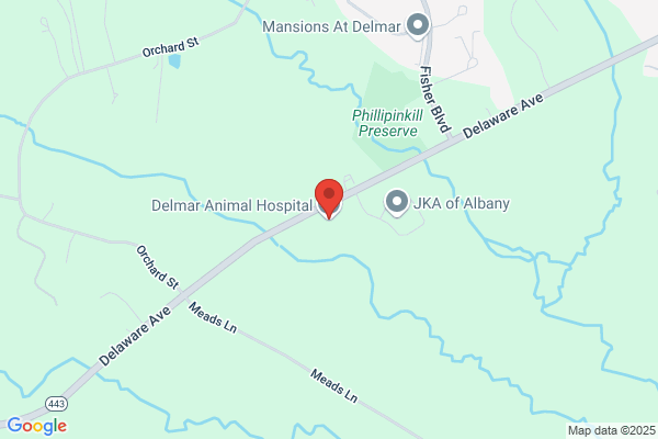 Delmar Animal Hospital