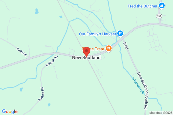 New Scotland Town of, Animal Control