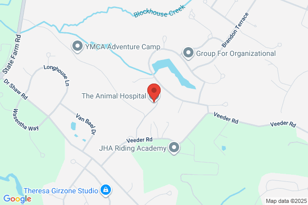 The Animal Hospital