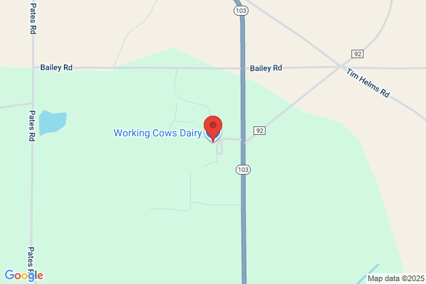 Working Cows Dairy