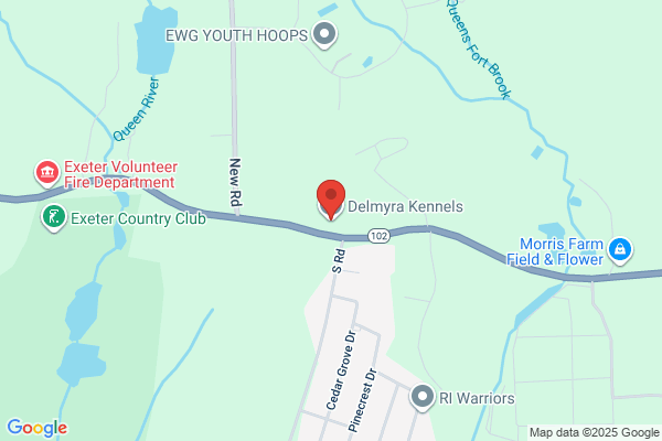 Delmyra Country Club For Dogs & Cats