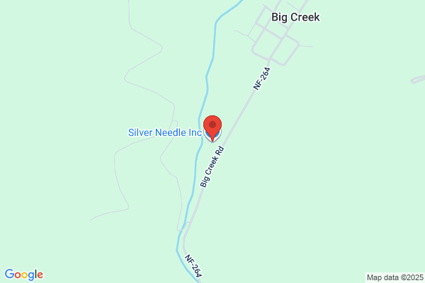 Silver Needle Inc