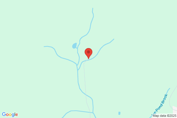 Smethport Specialty Co
