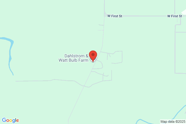Dahlstrom & Watt Bulb Farms Inc