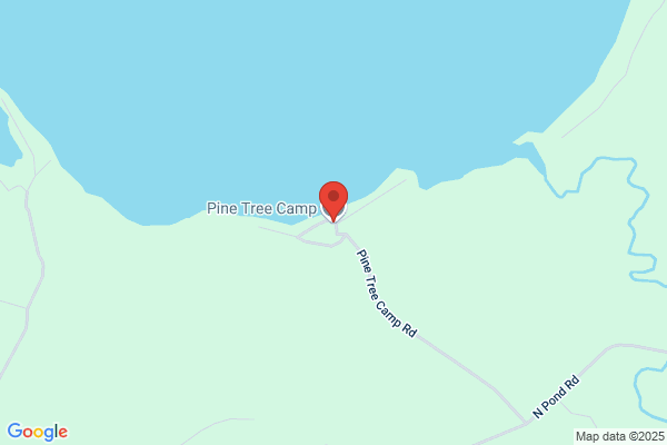 Pine Tree Camp