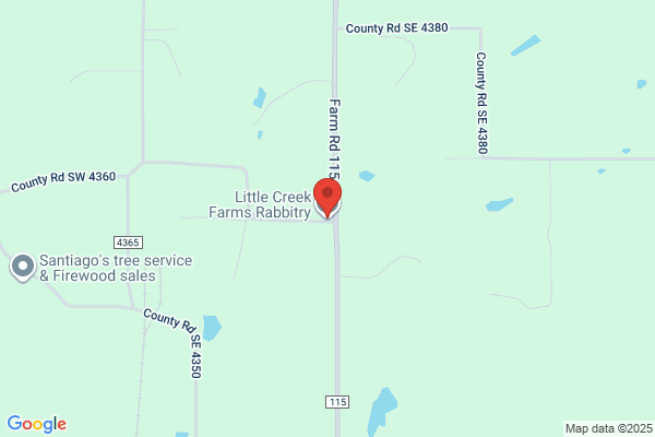 Little Bunny Farms
