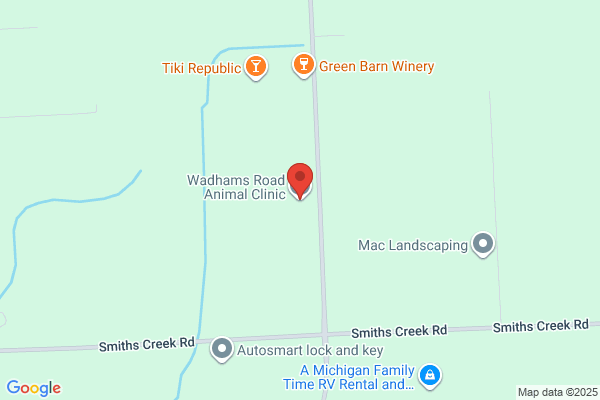 Wadhams Road Animal Care Center