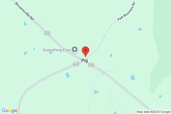 Porky Pig Diner