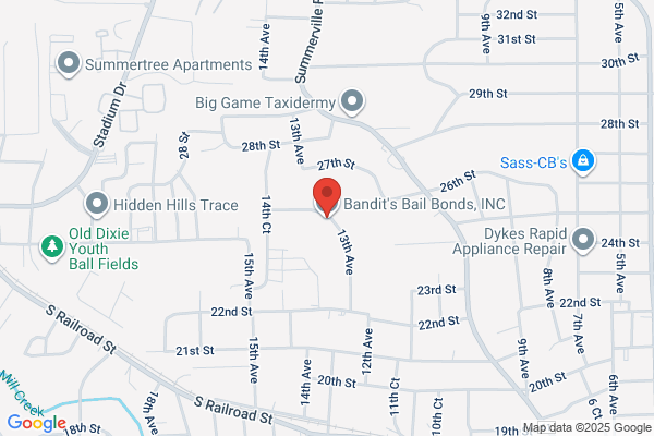 Cheetah Bail Bonds, LLC