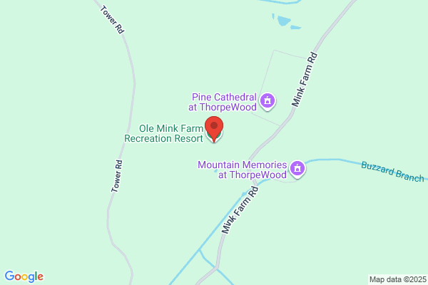 Ole Mink Farm Recreation Resort