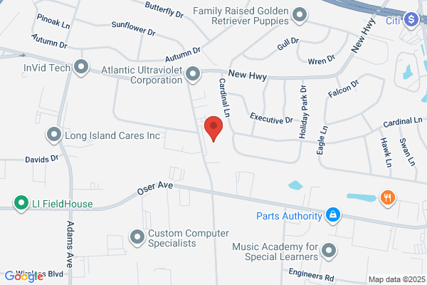 Vetra Systems Inc