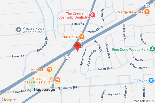 Hauppauge Palace Diner