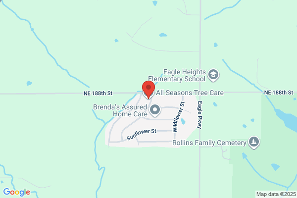 All Seasons Tree Care